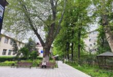 Photo of ШЫМКЕНТТЕ ЗЕЙНЕТКЕРЛЕРГЕ ШИПАЖАЙЛАРҒА ЖОЛДАМА БЕРУ ЖАЛҒАСУДА