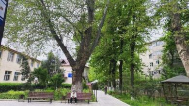 Photo of ШЫМКЕНТТЕ ЗЕЙНЕТКЕРЛЕРГЕ ШИПАЖАЙЛАРҒА ЖОЛДАМА БЕРУ ЖАЛҒАСУДА