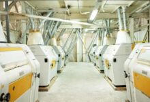 Photo of МЕМЛЕКЕТТІК ҚОЛДАУДЫҢ АРҚАСЫНДА ОТАНДЫҚ ҰН ӨНДІРЕТІН КОМПАНИЯ ӨНІМ КӨЛЕМІН АРТТЫРДЫ