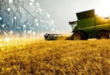 Photo of ШЫМКЕНТТЕ 80 МЫҢ ТОННА ӨНІМ ЖИНАЛДЫ