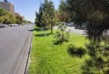 Photo of ҚАЛАМЫЗДАҒЫ КӨГАЛДАНДЫРУ ЖҰМЫСТАРЫ