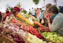 Photo of ШЫМКЕНТТЕ АПТАСЫНА ҮШ КҮН АЗЫҚ-ТҮЛІК ЖӘРМЕҢКЕСІ ӨТЕДІ