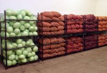 Photo of КӨКӨНІС САҚТАУ ҚОЙМАЛАРЫ ҚАЛА АУМАҒЫНДА ӨНДІРІЛЕТІН ӨНІМНІҢ 80 ПАЙЫЗЫН САҚТАУҒА ҚАУҚАРЛЫ