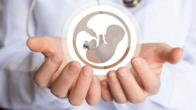 Photo of ШЫМКЕНТТЕГІ РЕПРОДУКЦИЯЛЫҚ ОРТАЛЫҚТАР НӘТИЖЕЛІ ЖҰМЫС ЖАСАУДА