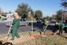 Photo of ЕҢБЕКШІ АУДАНЫНДА САНИТАРЛЫҚ ТАЗАЛЫҚ ЖҰМЫСТАРЫ КЕСТЕГЕ СӘЙКЕС АТҚАРЫЛУДА