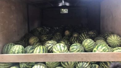 Photo of АУДАН КӘСІПКЕРІ БАЛАЛАР ҮЙІ ТӘРБИЕЛЕНУШІЛЕРІНЕ КЕЗЕКТІ СЫЙ ЖАСАДЫ