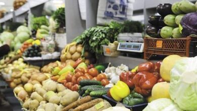 Photo of ШЫМКЕНТТЕ ӘЛЕУМЕТТІК МӘНІ БАР АЗЫҚ-ТҮЛІК ӨНІМДЕРІНІҢ БАҒАСЫ ТҰРАҚТЫ