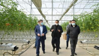 Photo of АЗЫҚ-ТҮЛІК ӨНДІРУДЕ ШЫМКЕНТТІҢ МҮМКІНДІГІ МОЛ