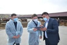 Photo of ЕЛІМІЗДЕ АЛҒАШ БОЛЫП ШЫМКЕНТТЕ «VET QYZMET» ПИЛОТТЫҚ ЖОБАСЫ ІСКЕ ҚОСЫЛДЫ