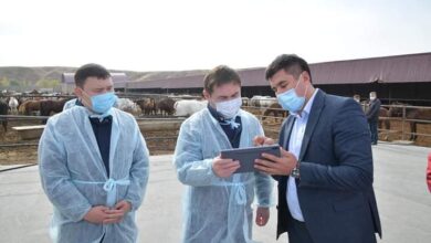 Photo of ЕЛІМІЗДЕ АЛҒАШ БОЛЫП ШЫМКЕНТТЕ «VET QYZMET» ПИЛОТТЫҚ ЖОБАСЫ ІСКЕ ҚОСЫЛДЫ