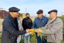 Photo of ШЫМКЕНТТЕ СӘБІЗ ӨСІРУДЕ ЖАҢА ТЕХНОЛОГИЯ ҚОЛДАНЫЛАДЫ