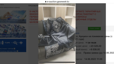 Photo of ШӨКЕЕВТІҢ “ХИТ” БОЛҒАН ШАПАНЫ САТЫЛЫМДА