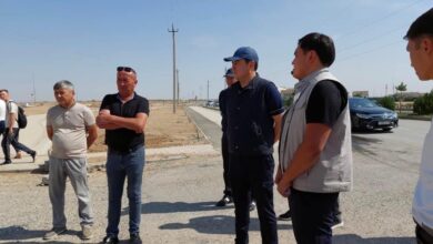 Photo of “ТҮРКІСТАН ЖАСЫЛ ҚАЛАҒА АЙНАЛАДЫ”