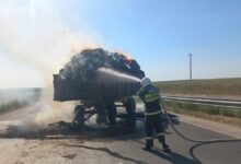 Photo of 300 ДАНА СЫҒЫМДАЛҒАН ЖОҢЫШҚА ЖАНЫП КЕТТІ