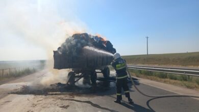 Photo of 300 ДАНА СЫҒЫМДАЛҒАН ЖОҢЫШҚА ЖАНЫП КЕТТІ