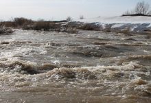 Photo of ТӨТЕНШЕ ЖАҒДАЙДЫҢ ТҮРЛЕРІ