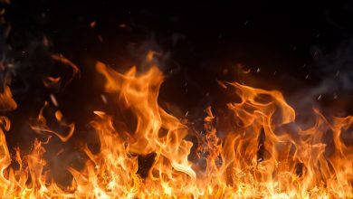 Photo of ӨРТ ЖАҒДАЙЫНДАҒЫ ІЗДЕУ – ҚҰТҚАРУ ЖҰМЫСТАРЫ