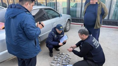 Photo of ПОЛИЦИЯ ЕСІРТКІ САТУШЫДАН 20-ДАН АСТАМ МАРИХУАНА ОРАМАСЫН ТӘРКІЛЕДІ