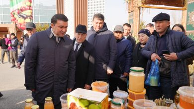 Photo of ТҮРКІСТАН ОБЛЫСЫНДА АУЫЛ ШАРУАШЫЛЫҒЫ САЛАСЫ ЕҢБЕККЕРЛЕРІ ҚҰРМЕТКЕ БӨЛЕНДІ