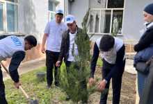 Photo of ТҮРКІСТАН ЖОҒАРЫ МЕДИЦИНА КОЛЛЕДЖІНДЕ «ТҮЛЕКТЕРДІҢ АҒАШ ЕГУ» ЭКО-АКЦИЯСЫ ӨТТІ
