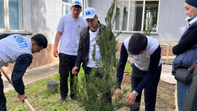 Photo of ТҮРКІСТАН ЖОҒАРЫ МЕДИЦИНА КОЛЛЕДЖІНДЕ «ТҮЛЕКТЕРДІҢ АҒАШ ЕГУ» ЭКО-АКЦИЯСЫ ӨТТІ