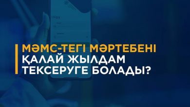 Photo of ТҮРКІСТАН ТҰРҒЫНДАРЫ МӘМС ЖҮЙЕСІНДЕГІ МӘРТЕБЕСІН ҚАЛАЙ ТЕКСЕРЕ АЛАДЫ?