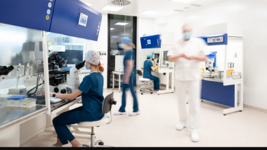 Photo of ТҮРКІСТАНДА ГЕНЕТИКАЛЫҚ ДИАГНОСТИКАНЫ ДАМЫТУ – БОЛАШАҚ МЕДИЦИНАНЫҢ МАҢЫЗДЫ БАҒЫТЫ