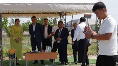 Photo of САУРАН АУДАНЫНДА БАЛМҰЗДАҚ ӨНДІРЕТІН КӘСІПОРЫННЫҢ ҚАЗЫҒЫ ҚАҒЫЛДЫ
