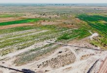 Photo of САУРАН АУДАНЫНДА 1,1 МЛРД ТЕҢГЕЛІК МАЛ БОРДАҚЫЛАУ КЕШЕНІНІҢ ҚҰРЫЛЫСЫ ЖҮРІП ЖАТЫР