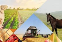 Photo of ТҮРКІСТАН ҚАЛАСЫНЫҢ ЭКОНОМИКАСЫ: ӨСІМ МЕН ӨЗГЕРІС