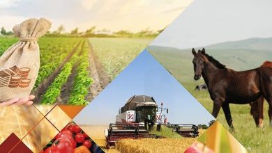 Photo of ТҮРКІСТАН ҚАЛАСЫНЫҢ ЭКОНОМИКАСЫ: ӨСІМ МЕН ӨЗГЕРІС