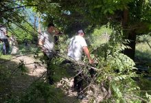 Photo of ДҮНИЕЖҮЗІЛІК  ҚОРШАҒАН ОРТАНЫ ҚОРҒАУ КҮНІНЕ ОРАЙ САЙРАМ АУДАНЫНДА СЕНБІЛІК ӨТТІ